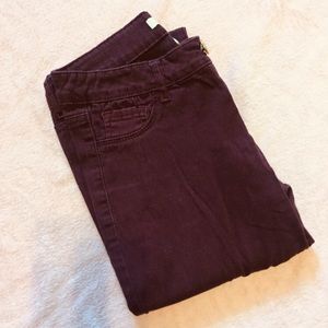 Refuge Maroon Jeans